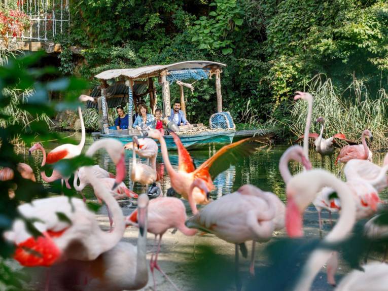Eine Familie sitzt in einem Boot im Zoo und fährt über den Sambesi. Im Vordergrund sind Flamingos zu sehen.
